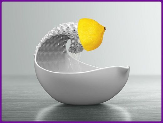 plunge-lemon-squeezer-01