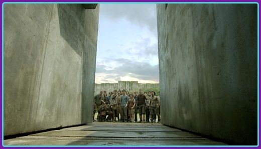 maze-runner-movie
