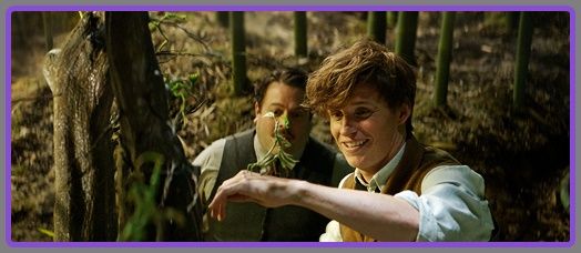 fantastic-beasts-and-where-to-find-them-001.jpg