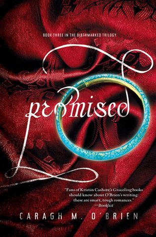 promised-book-review