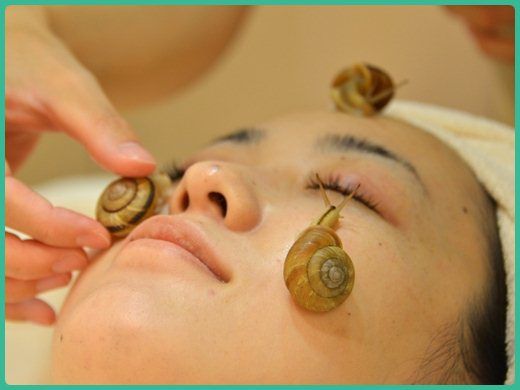 celeb-escargot-37