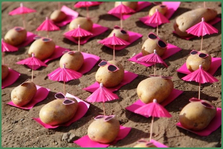 potato-food-art-01