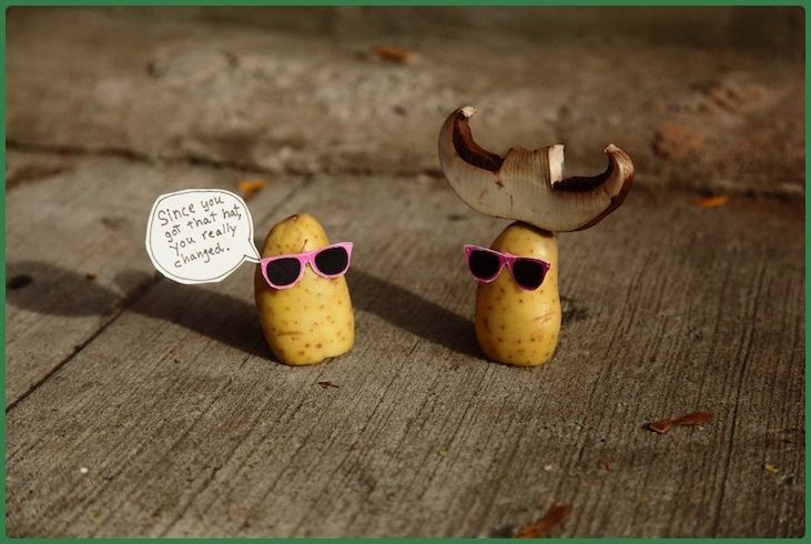 potato-food-art-03_zps5889971b.jpg~origi