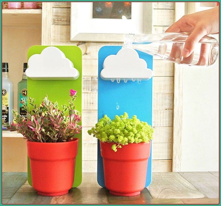 rainy-pot