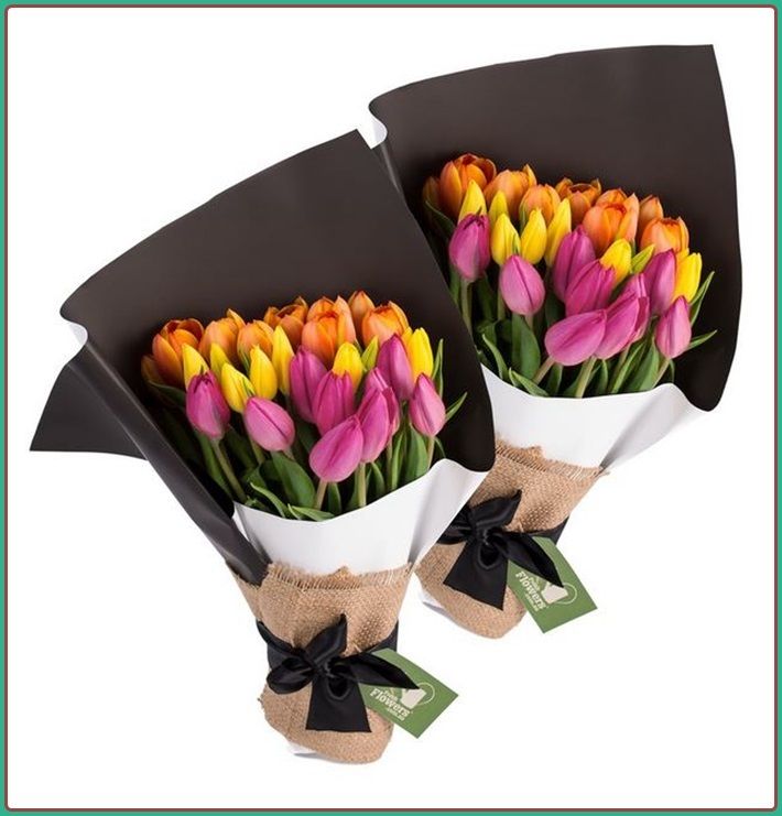 photo tulips.jpg