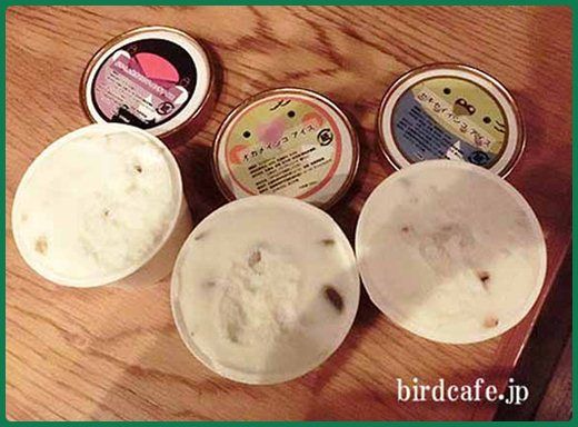 bird-ice-cream-02