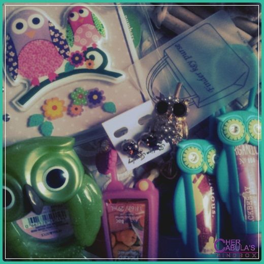 owl-accessories