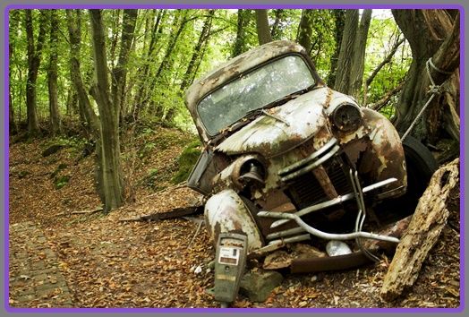 forest-cars-michael-frohlich-006.jpg