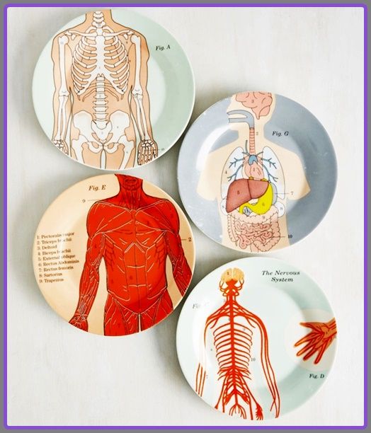 human-anatomy-plates-001.jpg