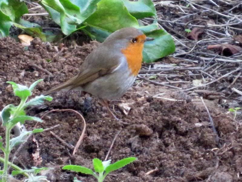  photo 010_zps5f563185.jpg