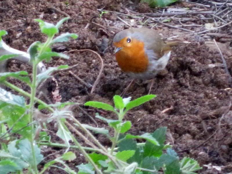  photo 011_zps2cdb1230.jpg