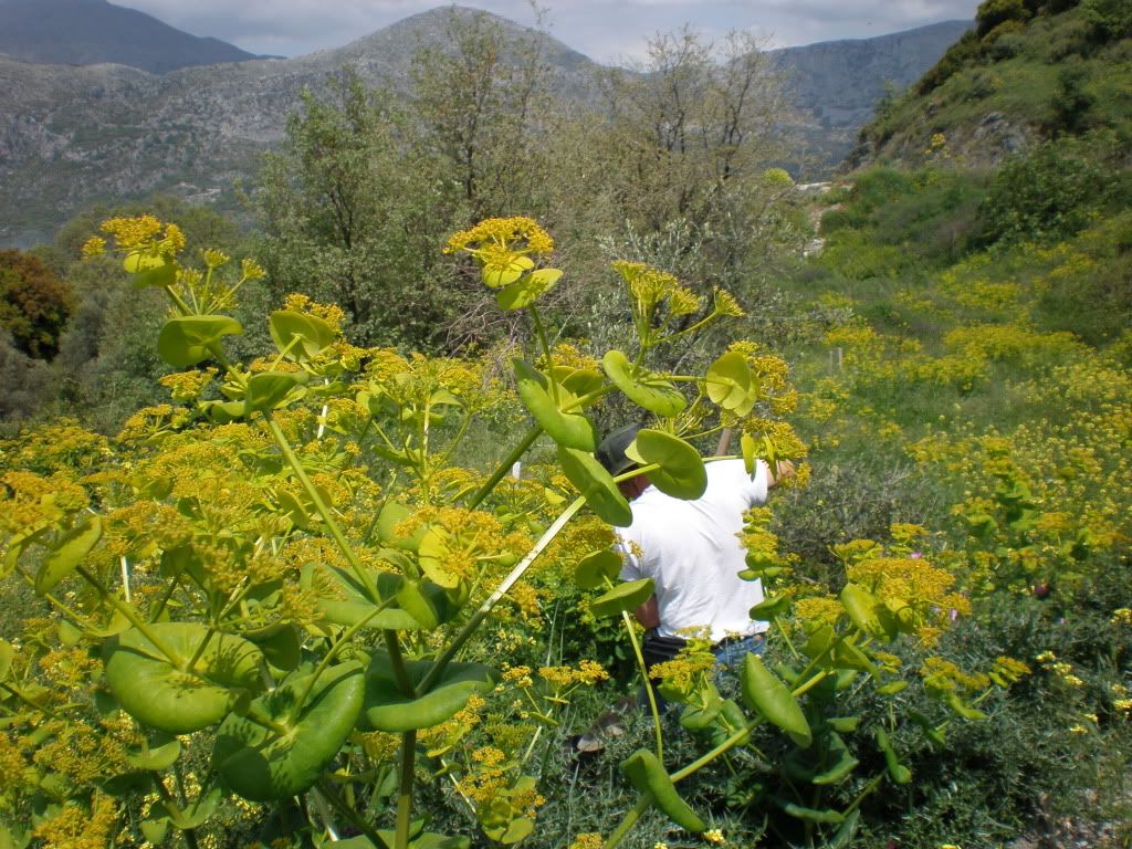 aktounda photo P4300031.jpg