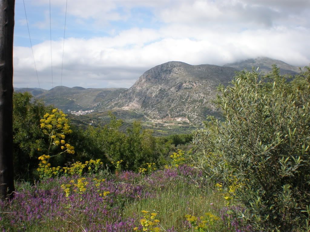 aktounda photo P5020053.jpg