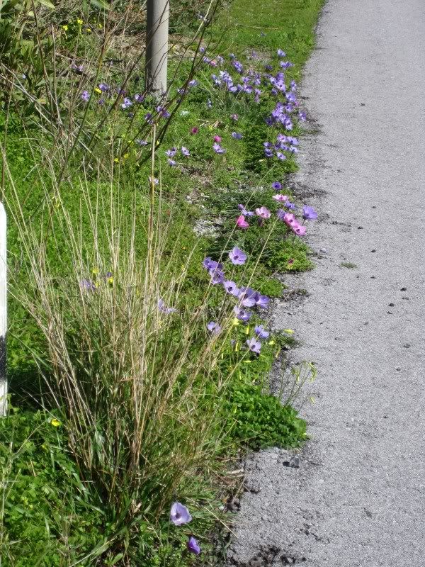  photo feb2013026_zpsd5ea9ba9.jpg