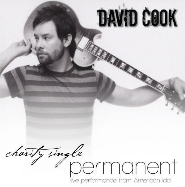 david cook album cover. David Cook-Permanent (NEW