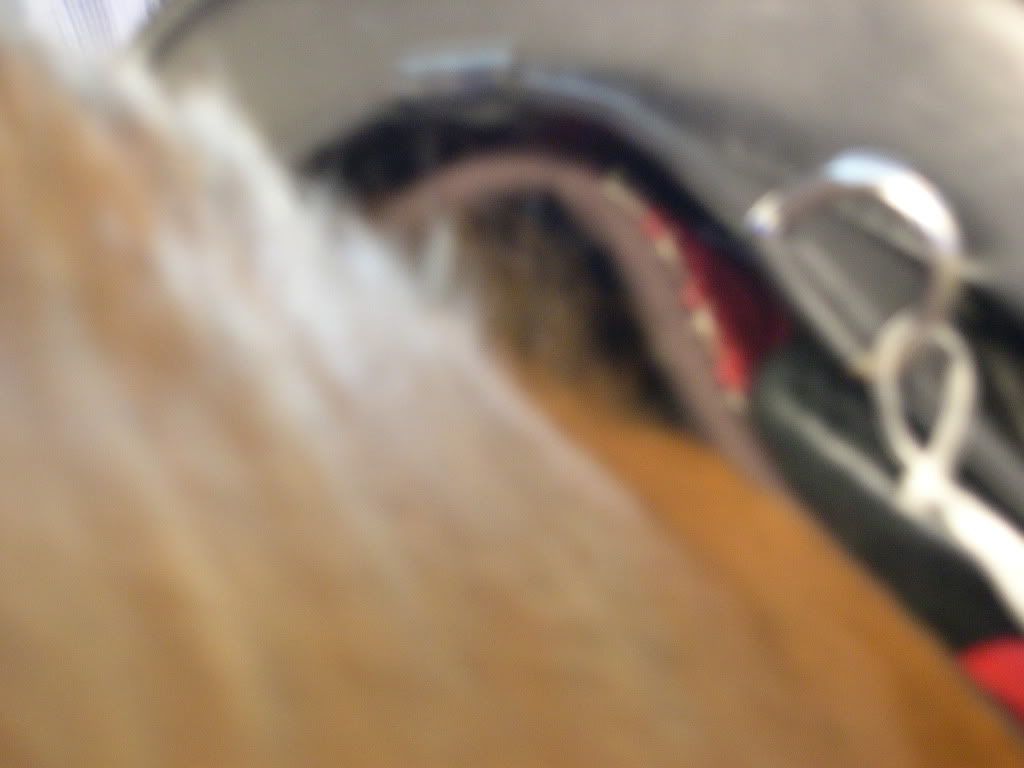 DSCN2197.jpg