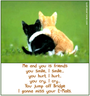 funny kitten20. eCard | Funny Quotes