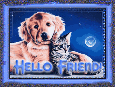 hello friends