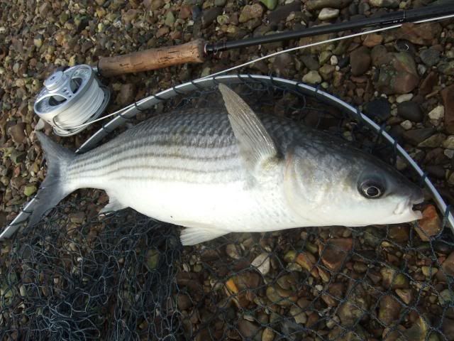 Fly fishing dating