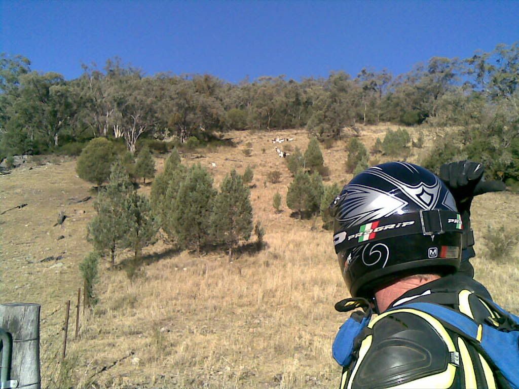 02122009002.jpg