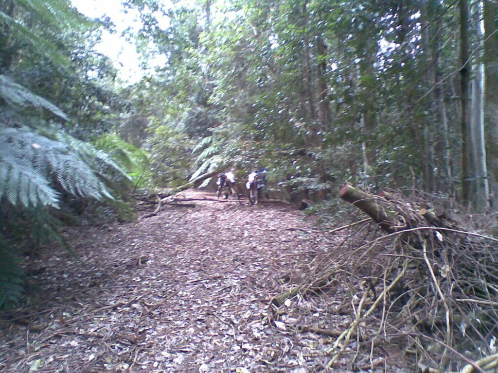 15102010006.jpg