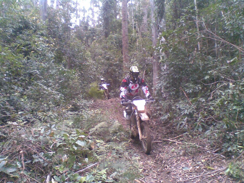16102010007.jpg
