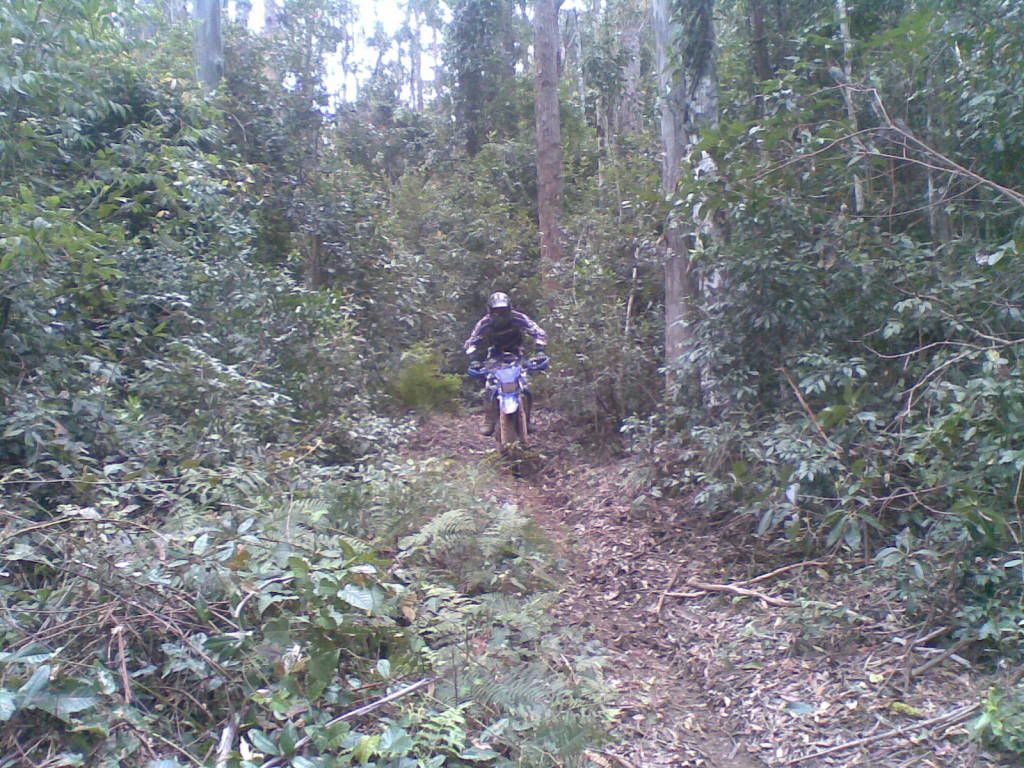 16102010009.jpg
