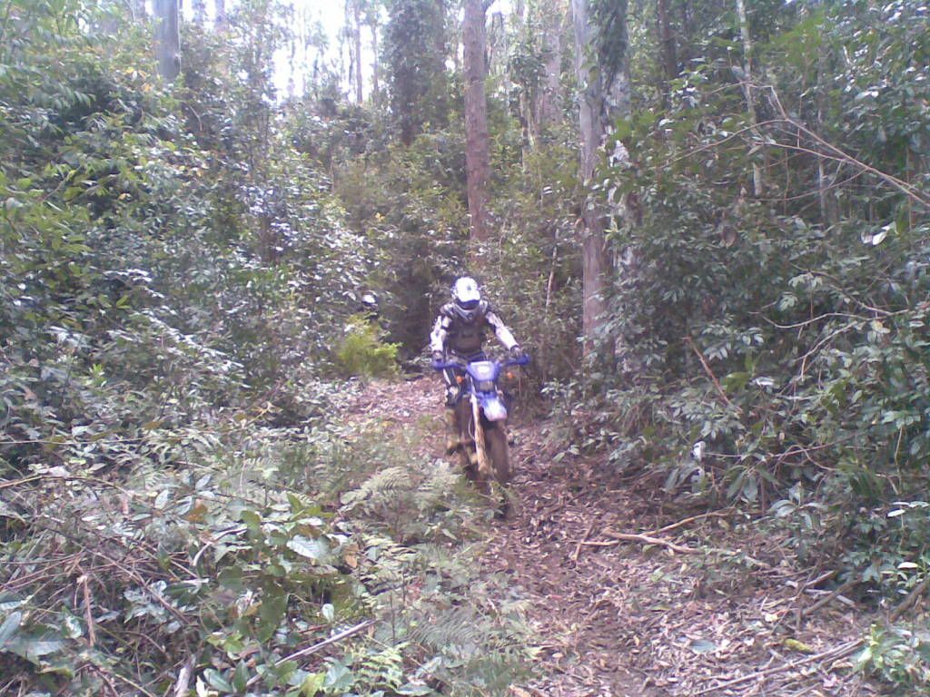 16102010010.jpg