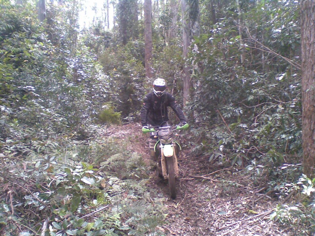 16102010011.jpg