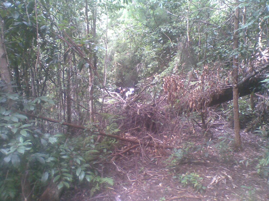 18032011008.jpg