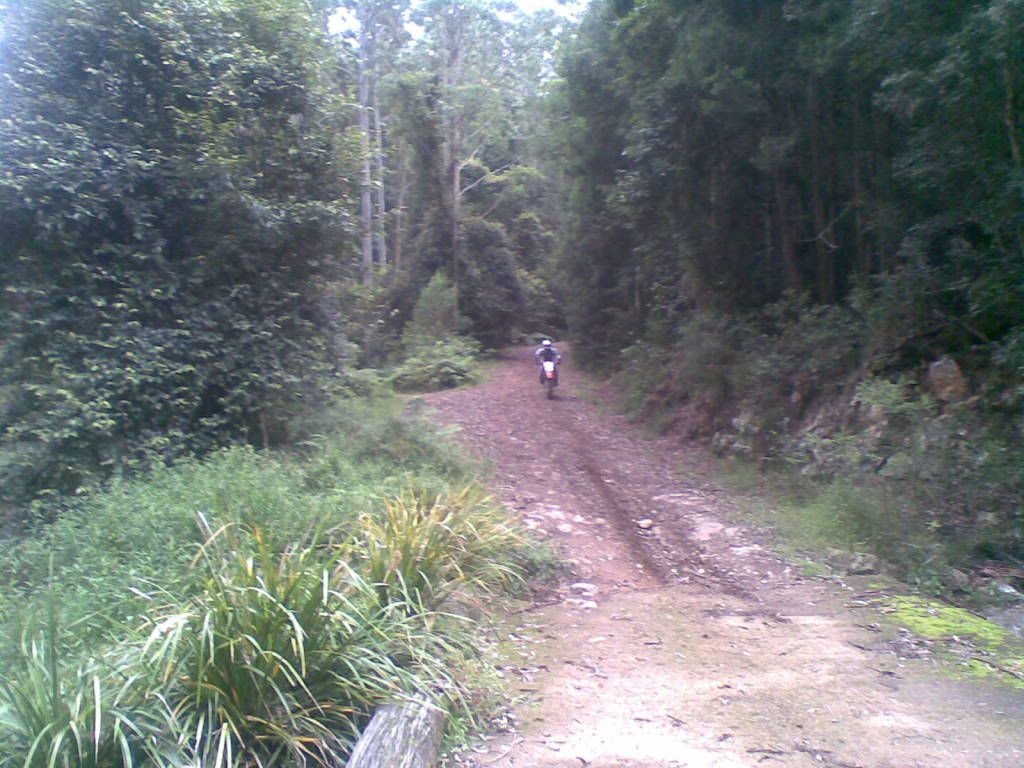 19032011003.jpg