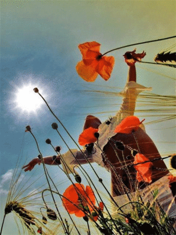 Join Love Ever Groups for Lovely and Maazing Mails each & Every Minute....!!!!!