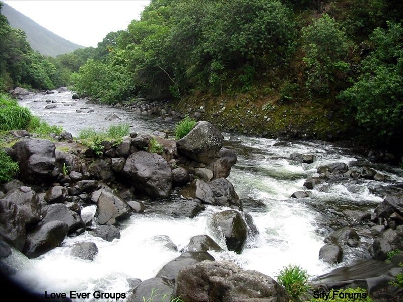 Subscribe Us For Lovely &amp; Innovative Mails... Love Ever Grroups....