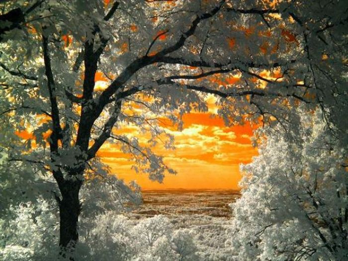 Beautiful Infrared Pictures