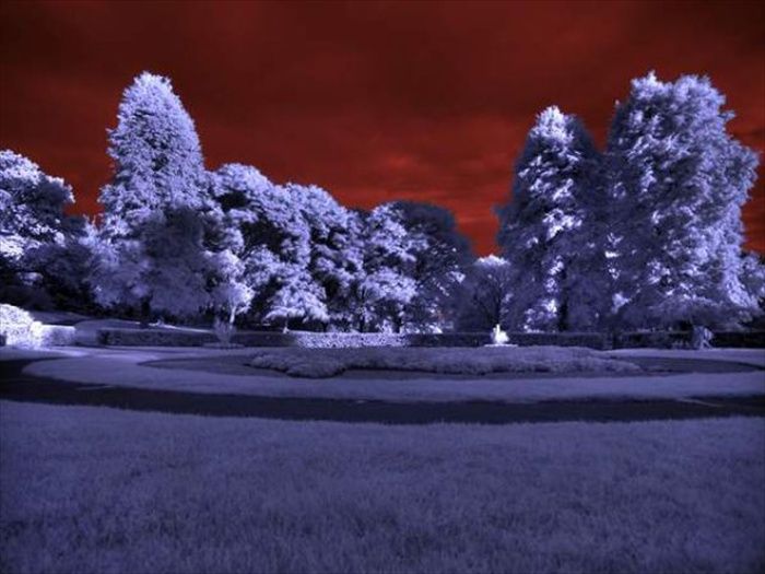 Beautiful Infrared Pictures
