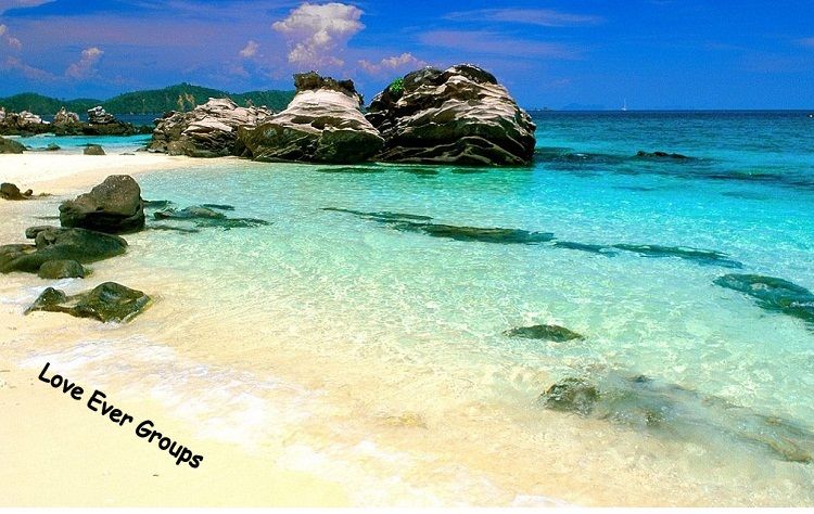 Join Loveever Groups !!!