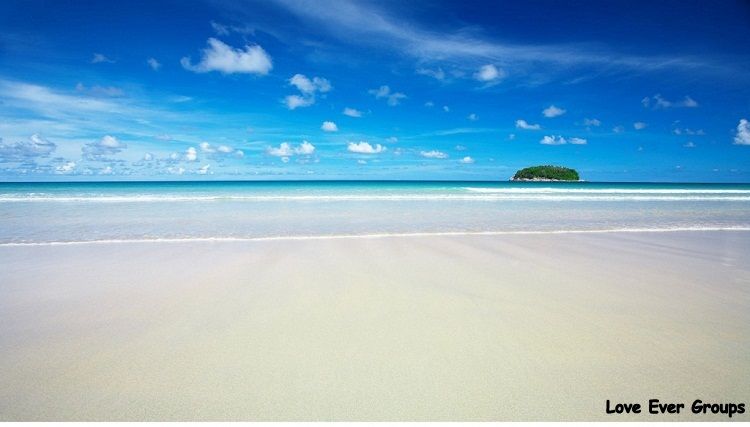 Join Loveever Groups !!!