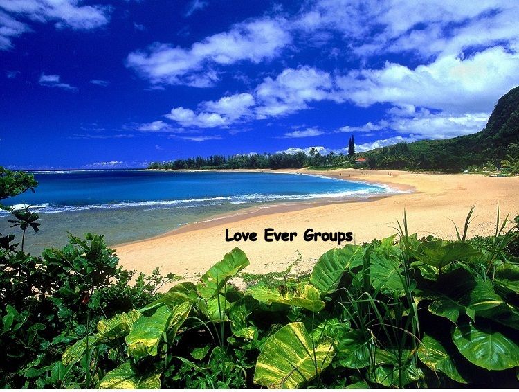 Join Loveever Groups !!!