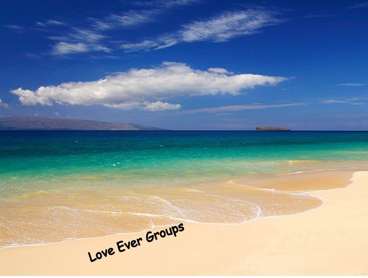 Join Loveever Groups !!!