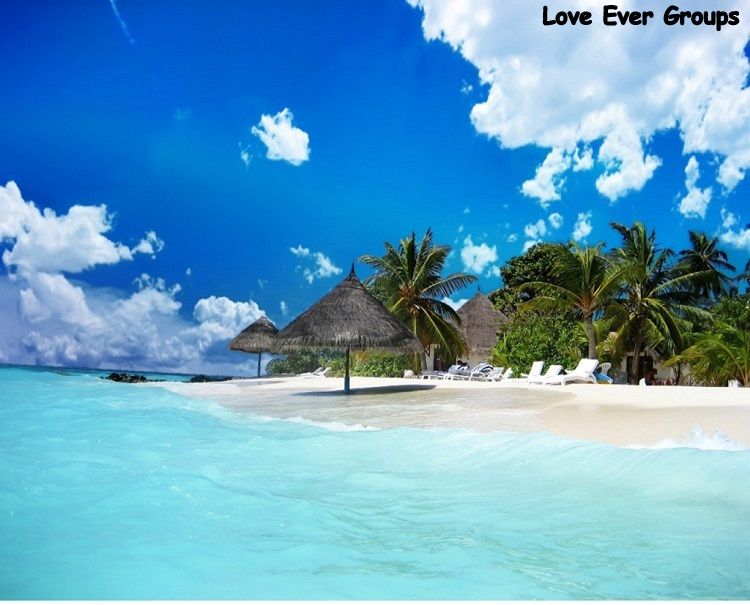 Join Loveever Groups !!!