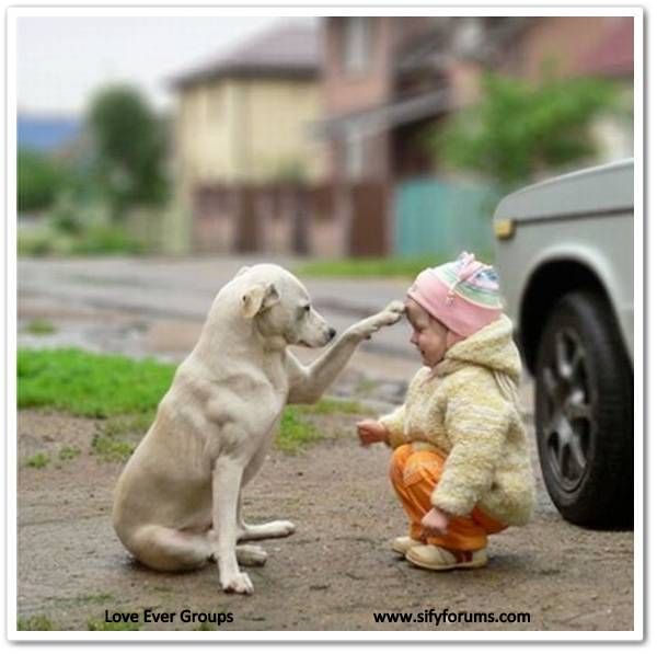 Join Love Ever Groups for Lovely Mails...!!!!