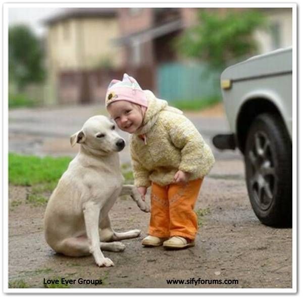 Join Love Ever Groups for Lovely Mails...!!!!