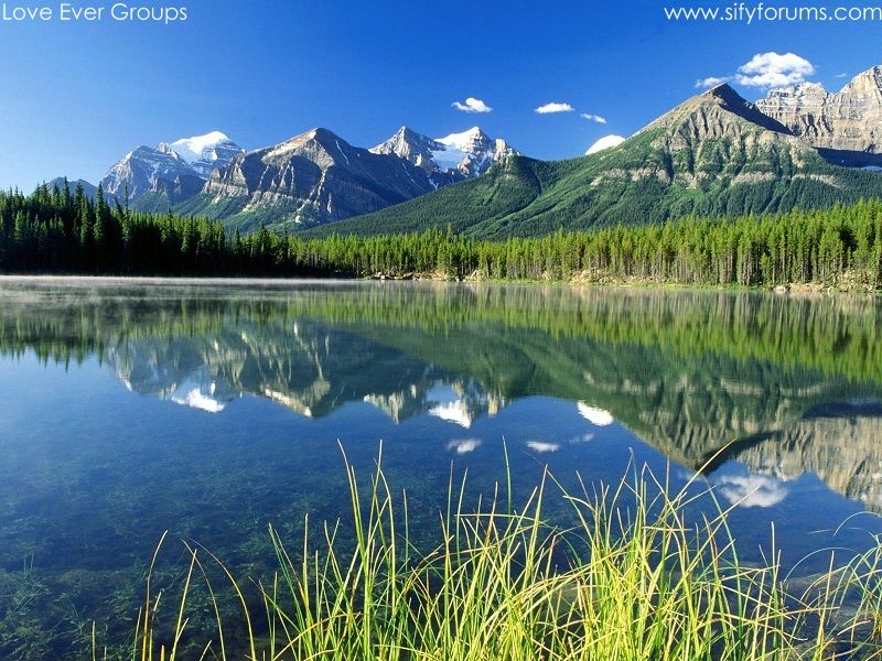 Join Love Ever Groups