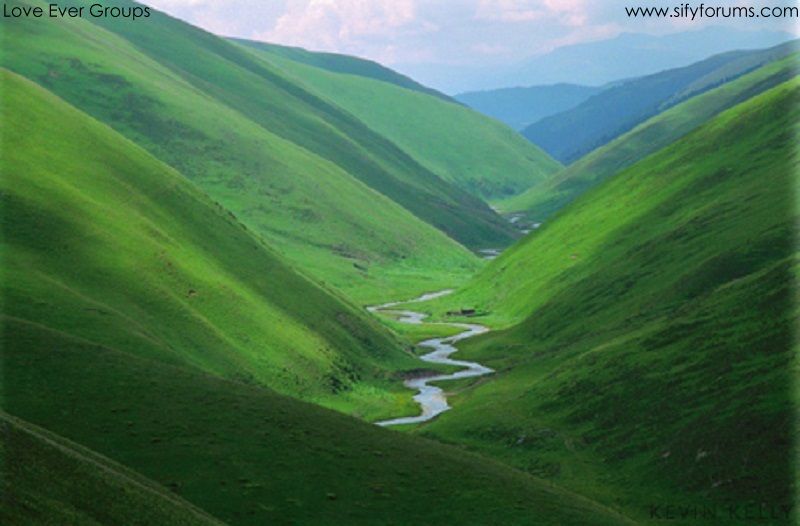 Join Love Ever Groups