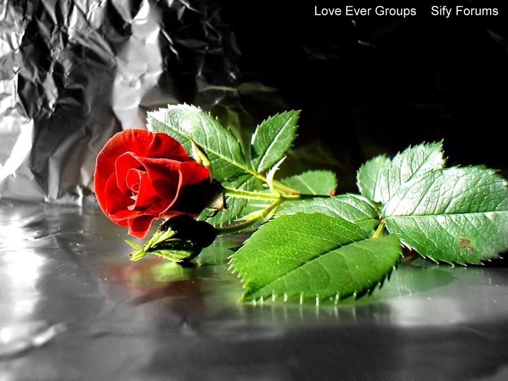 Join Love Ever Groups for Lovely Mails forever...!!!!