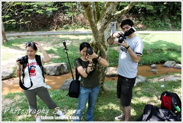 shootings