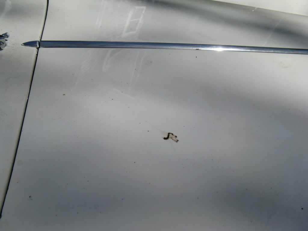 Car006.jpg