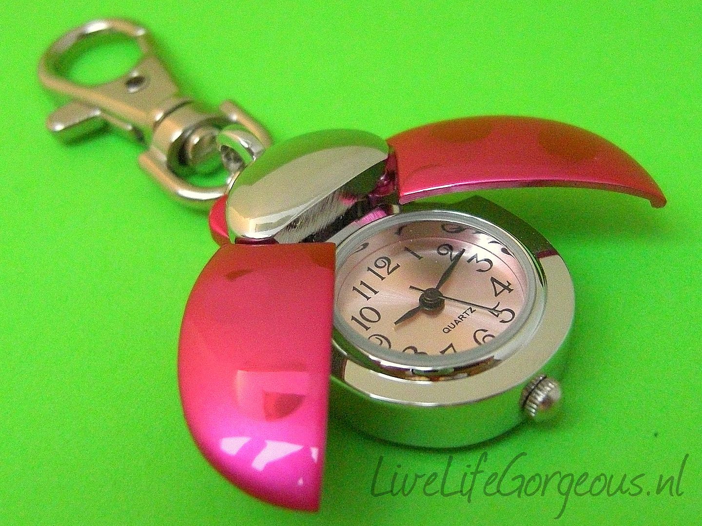 Ladybug keyring