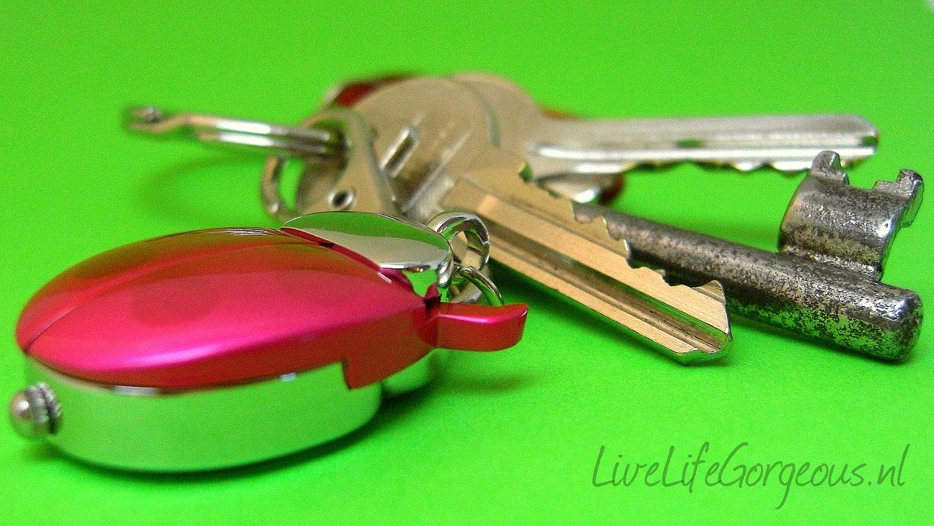 Ladybug keyring