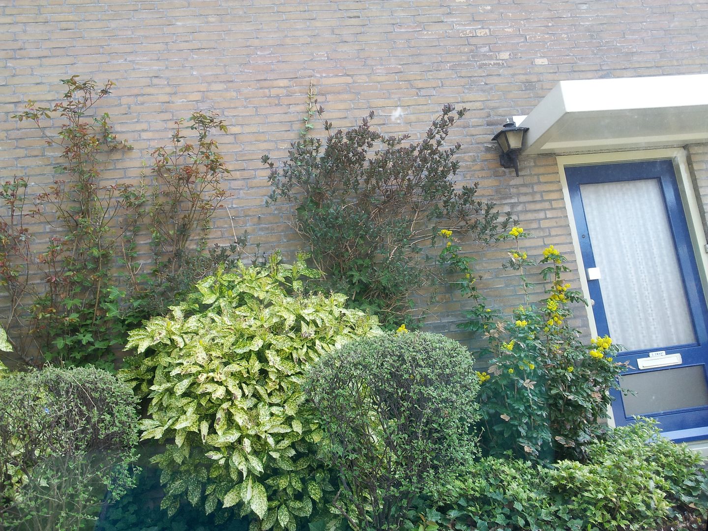 Daily life: huisje, boompje, beestje??? livelifegorgeous